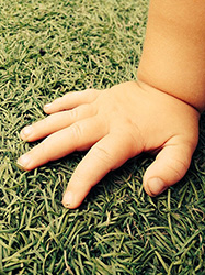 image of a baby's hand on the grass